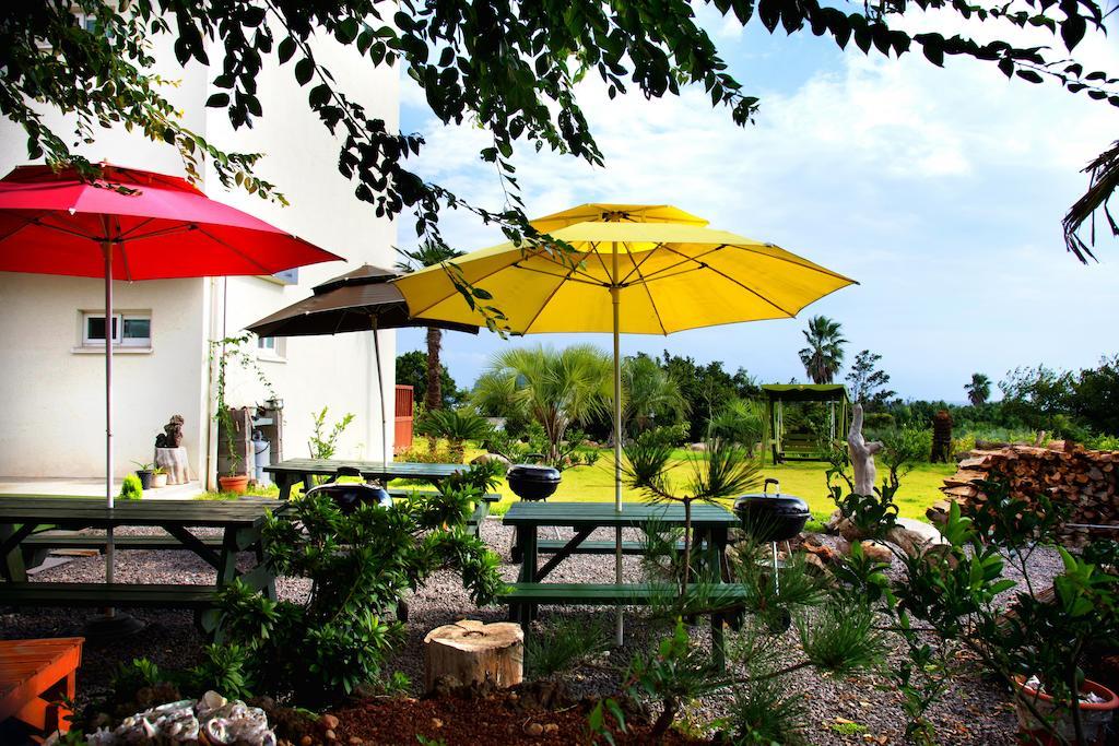 Jeju Bada Wi Olle Pension Согвипхо Экстерьер фото