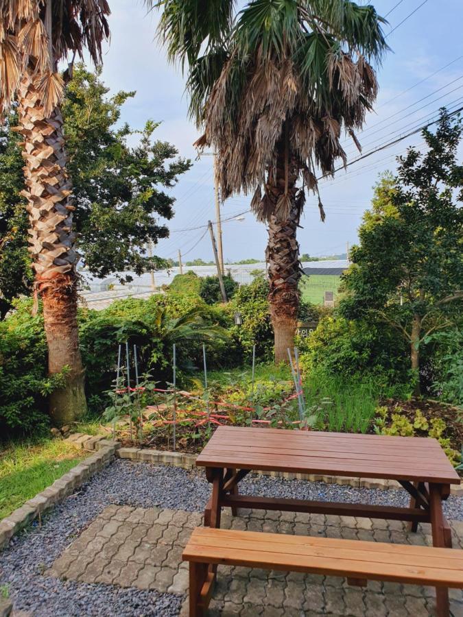Jeju Bada Wi Olle Pension Согвипхо Экстерьер фото