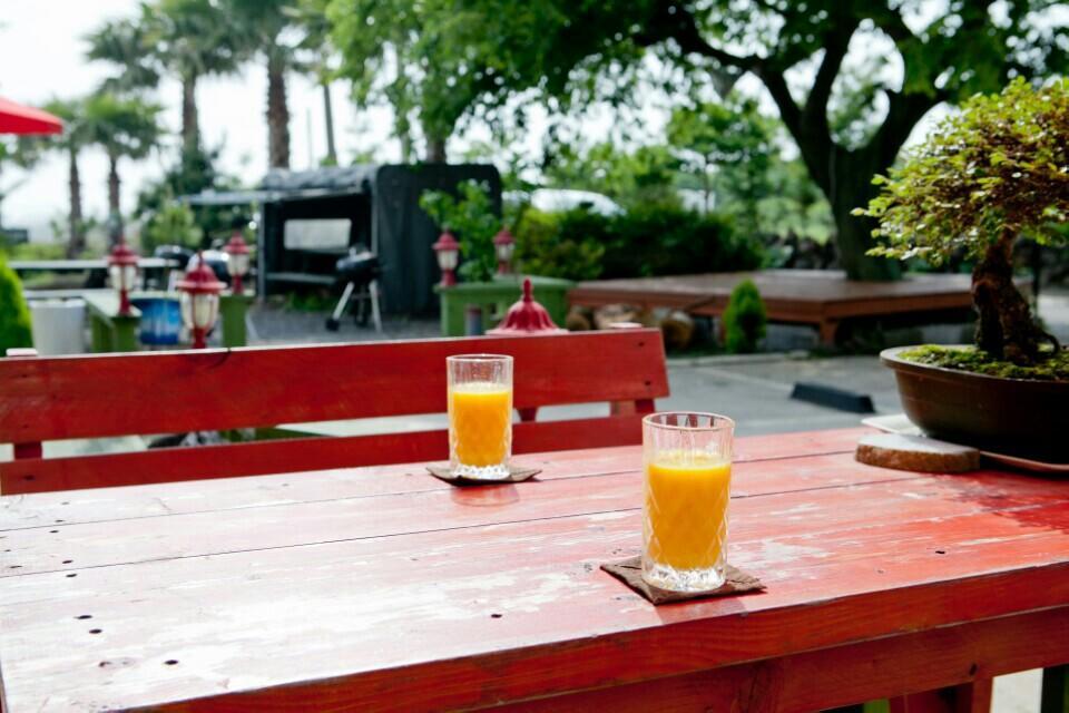 Jeju Bada Wi Olle Pension Согвипхо Экстерьер фото